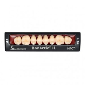 Product photo: Bonartic II NFC+ - композитные боковые зубы | Candulor AG (Швейцария)