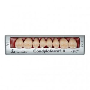 Product photo: Condyloform II NFC+ - композитные боковые зубы | Candulor AG (Швейцария)