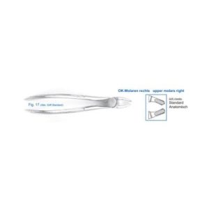 Product photo: Щипцы для удаления зубов верхние моляры правые | HLW Dental Instruments (Германия)