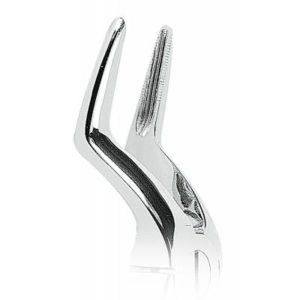 Product photo: Щипцы N51A для верхних корней с зубчиками | Asa Dental (Италия)